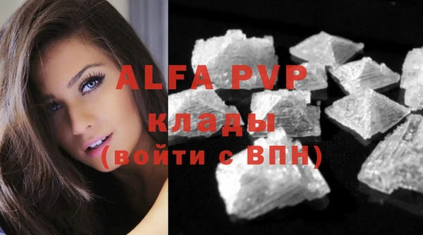 прущие крисы Балахна