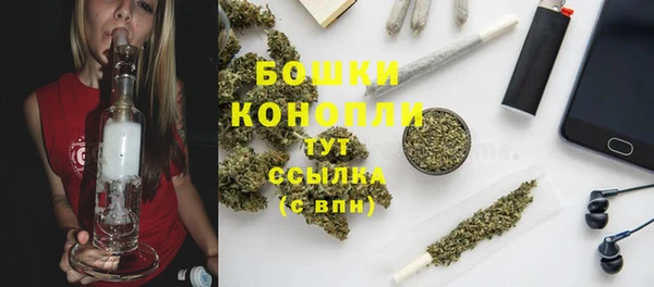 дурь Белокуриха