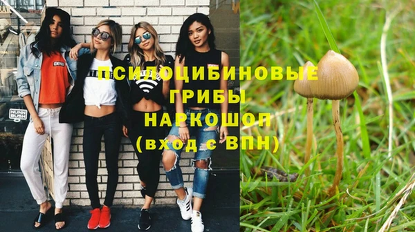 сатива Белоозёрский