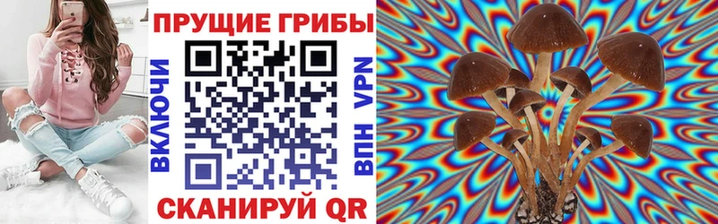наркотики  Макарьев  Псилоцибиновые грибы Magic Shrooms 